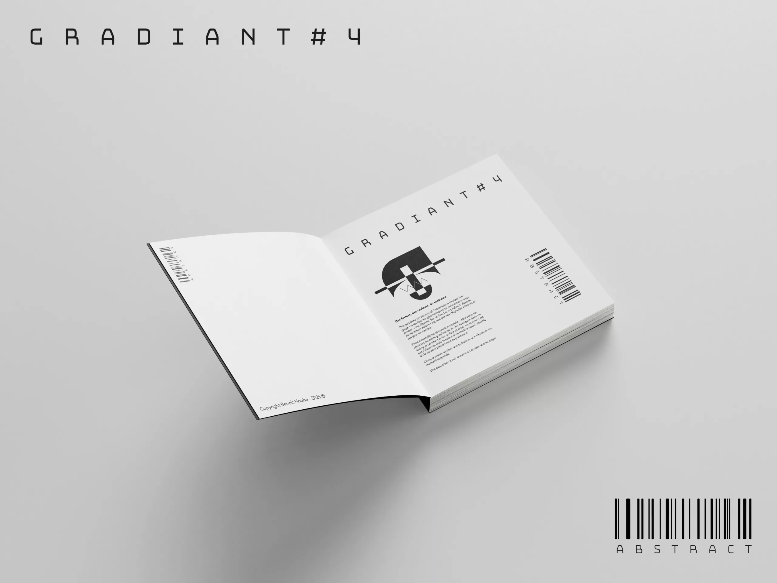 illustration_livre_intro_benoit-hoube.fr-illustration_brochure_print